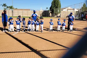 Skydive Baseball Park image