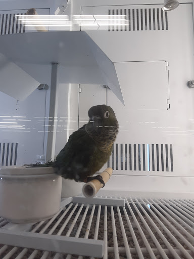 Pet Supply Store «Petco Animal Supplies», reviews and photos, 320 S Lycoming Mall Rd, Muncy, PA 17756, USA