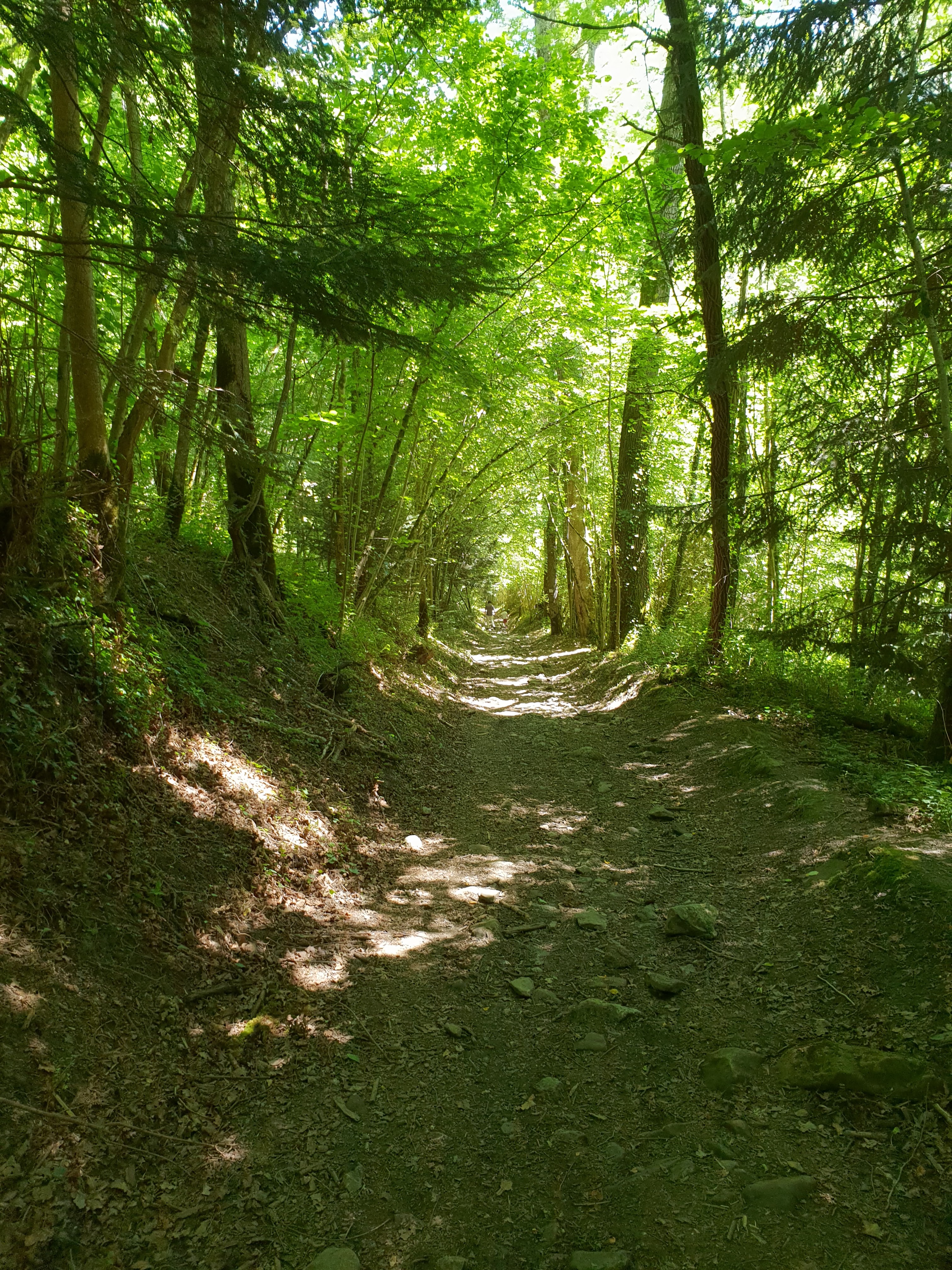 Photo n° 8 de l'avis de Sandrine.e fait le 21/08/2019 à 12:56