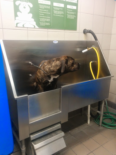 Pet Supply Store «Pet Supplies Plus», reviews and photos, 2202 S Bend Ave Suite 1, South Bend, IN 46635, USA