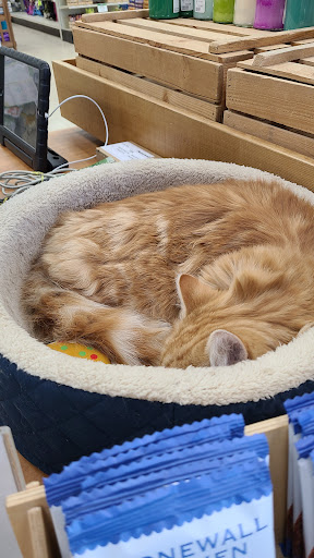 Garden Center «Winnisquam Agway», reviews and photos, 304 Daniel Webster Hwy, Belmont, NH 03220, USA