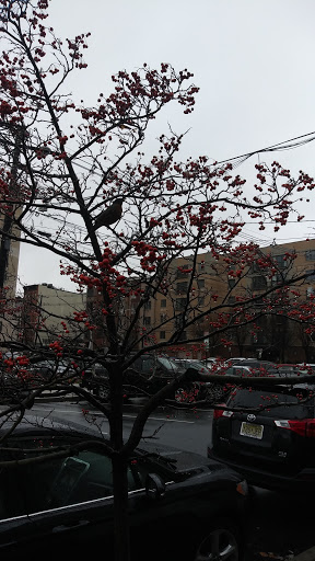 Grocery Store «ACME Markets», reviews and photos, 614 Clinton St, Hoboken, NJ 07030, USA