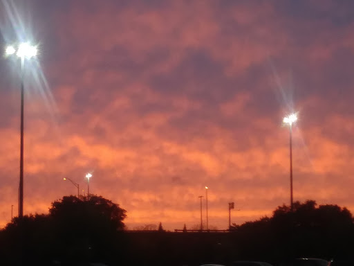 Department Store «Walmart Supercenter», reviews and photos, 508 10th St E, Palmetto, FL 34221, USA