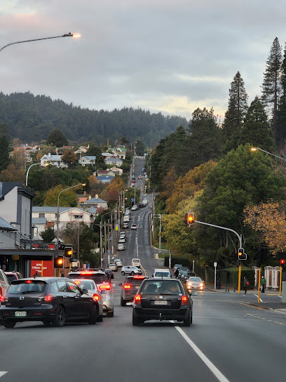 Dunedin Town Belt