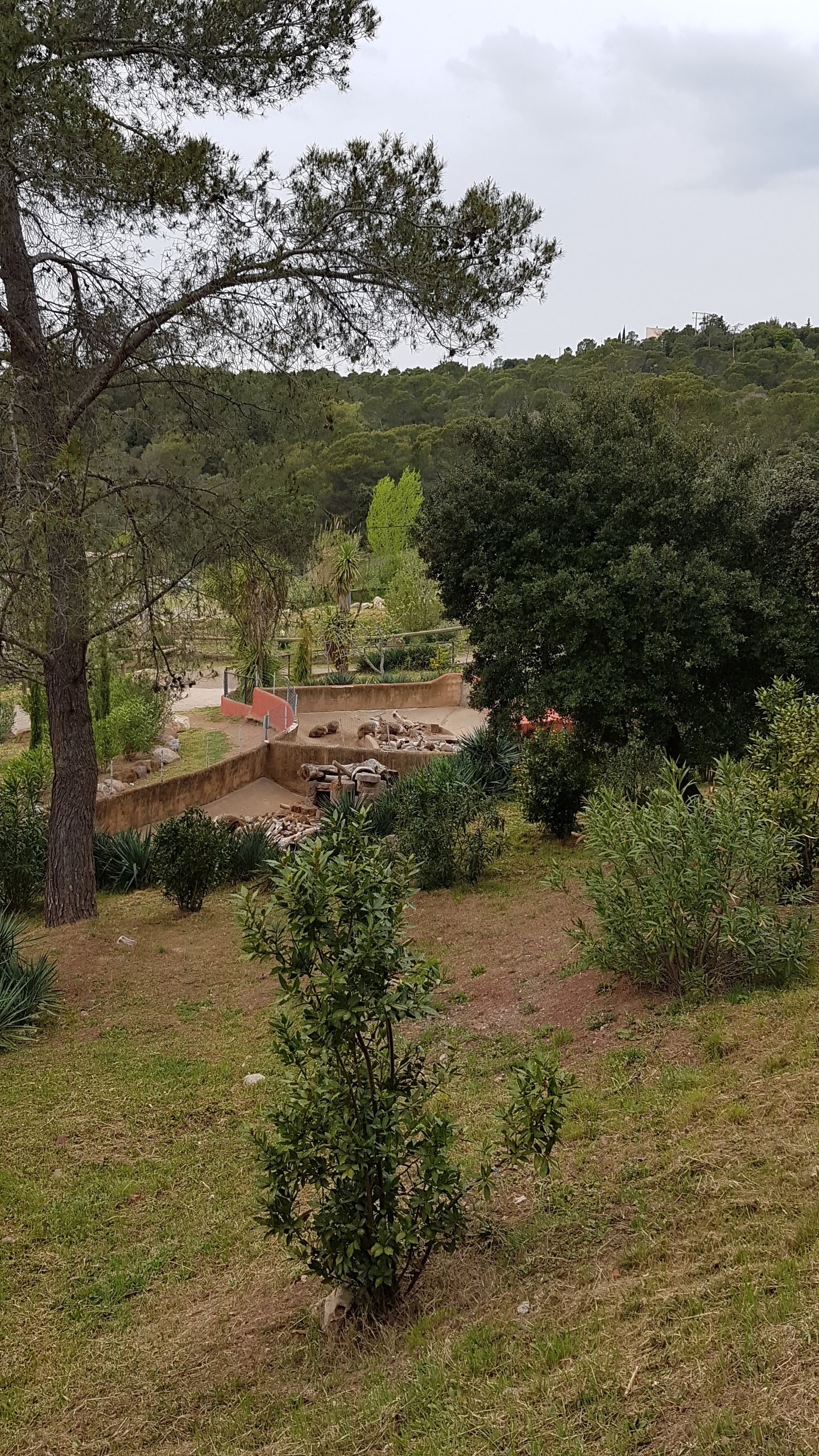 Photo n° 21 de l'avis de Isabelle.e fait le 16/04/2019 à 22:21