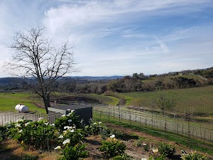 Hanna Winery - photo 97