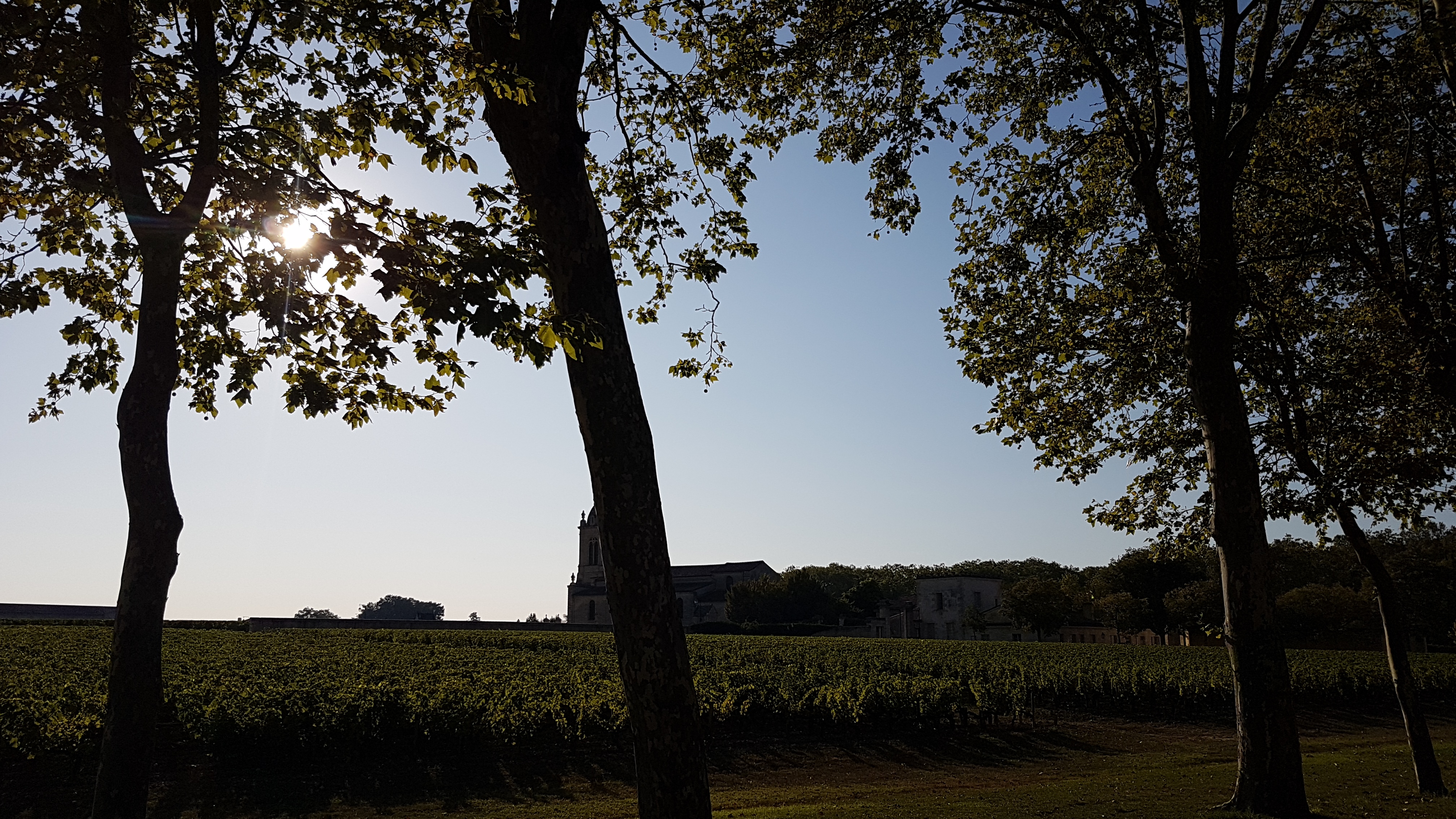 Photo n° 15 de l'avis de Gui.9 fait le 25/08/2019 à 06:23