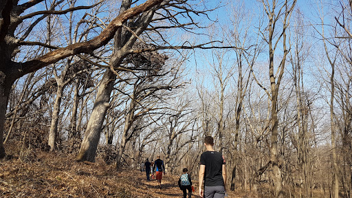 Nature Preserve «Indian Creek Nature Center», reviews and photos, 5300 Otis Rd, Cedar Rapids, IA 52403, USA
