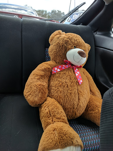 Grocery Store «Winn-Dixie», reviews and photos, 10202 Seminole Blvd, Seminole, FL 33772, USA