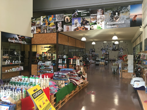 Bestialis Agropinsos en Riudoms, Tarragona