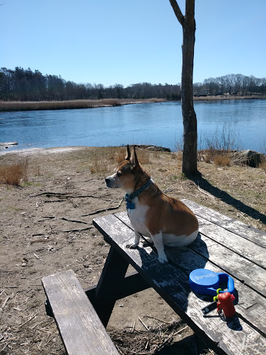 Park «Sweets Knoll State Park», reviews and photos, 1387 Somerset Ave, Dighton, MA 02715, USA