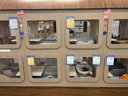 Pet Supply Store «Petco Animal Supplies», reviews and photos, 2230 Marlton Pike W #3, Cherry Hill, NJ 08002, USA