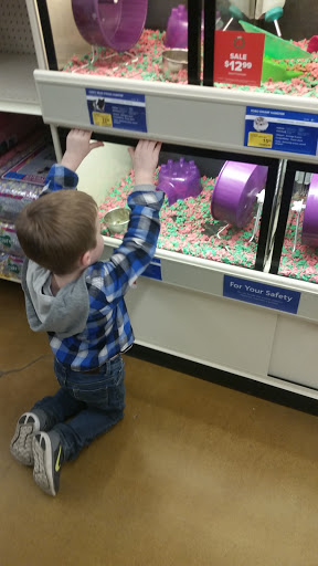 Pet Supply Store «PetSmart», reviews and photos, 3540 Youngfield St, Wheat Ridge, CO 80033, USA