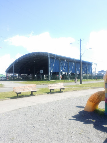 cancha techada