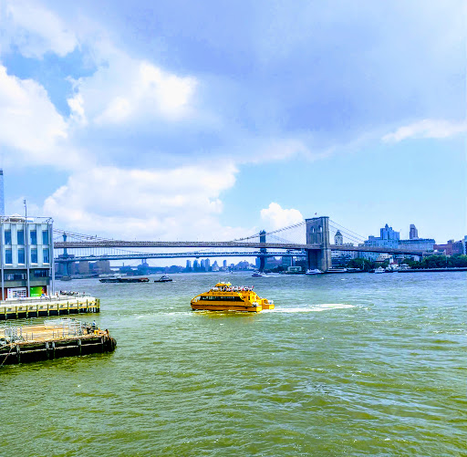 Park «Brooklyn Bridge Park», reviews and photos, 334 Furman St, Brooklyn, NY 11201, USA