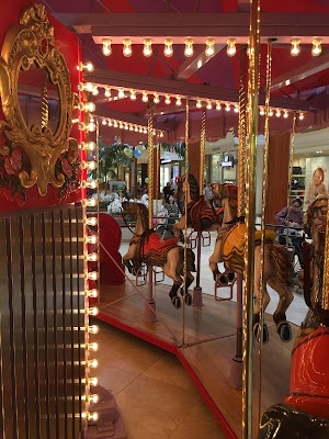 Carousel Court - photo 2