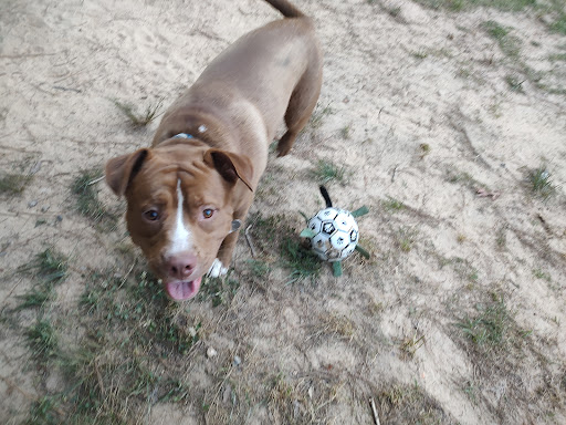 Park «Piney Wood Park», reviews and photos, 400 E Woodcroft Pkwy, Durham, NC 27713, USA