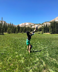 Free to Flourish - Photo 4 - Car repair in Louisville, CO, Boulder