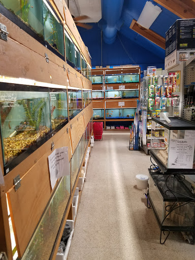 Tropical Fish Store «Pet Friendly Inc», reviews and photos, 845 Manitou Rd, Hilton, NY 14468, USA