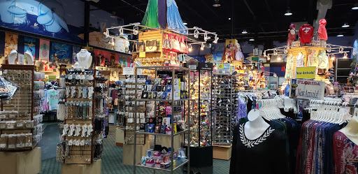 Gift Shop «Bargain World», reviews and photos, 12236 S Apopka Vineland # 200, Orlando, FL 32836, USA