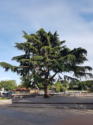 Square Tino Rossi à Nogent-sur-Marne