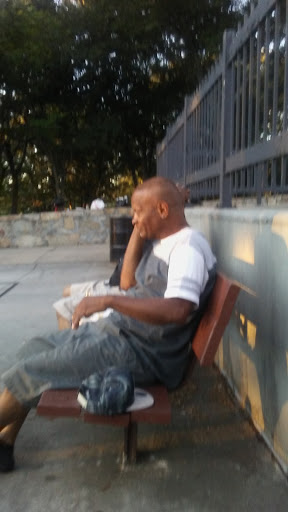 Park «Horatio Harris Park», reviews and photos, 85 Harold St, Boston, MA 02119, USA