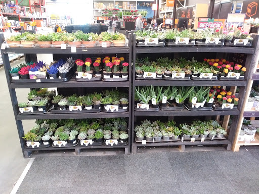 Shopping Mall «Cumberland Mall», reviews and photos, 3849 S Delsea Dr, Vineland, NJ 08360, USA