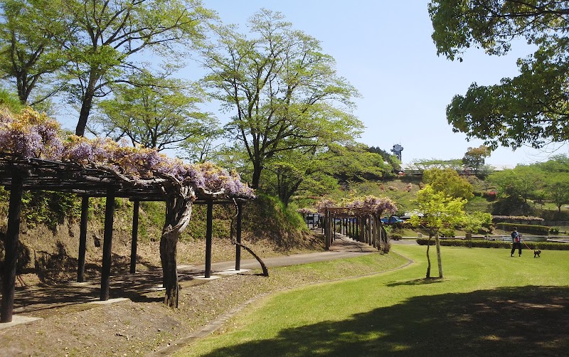 吉四六ランドサクラ園(桜スポット)と藤棚