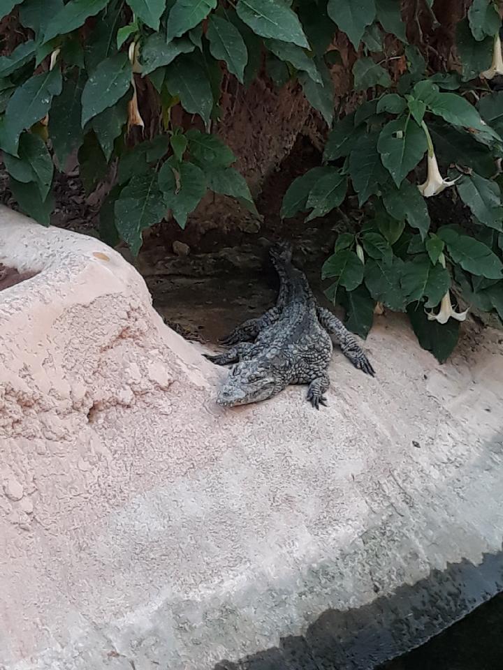 Photo n° 7 de l'avis de lorenzo.l fait le 28/12/2017 à 17:19