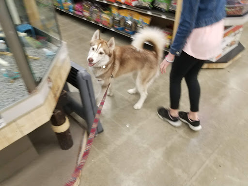 Pet Supply Store «Petco Animal Supplies», reviews and photos, 190 Quality Dr, Hooksett, NH 03106, USA