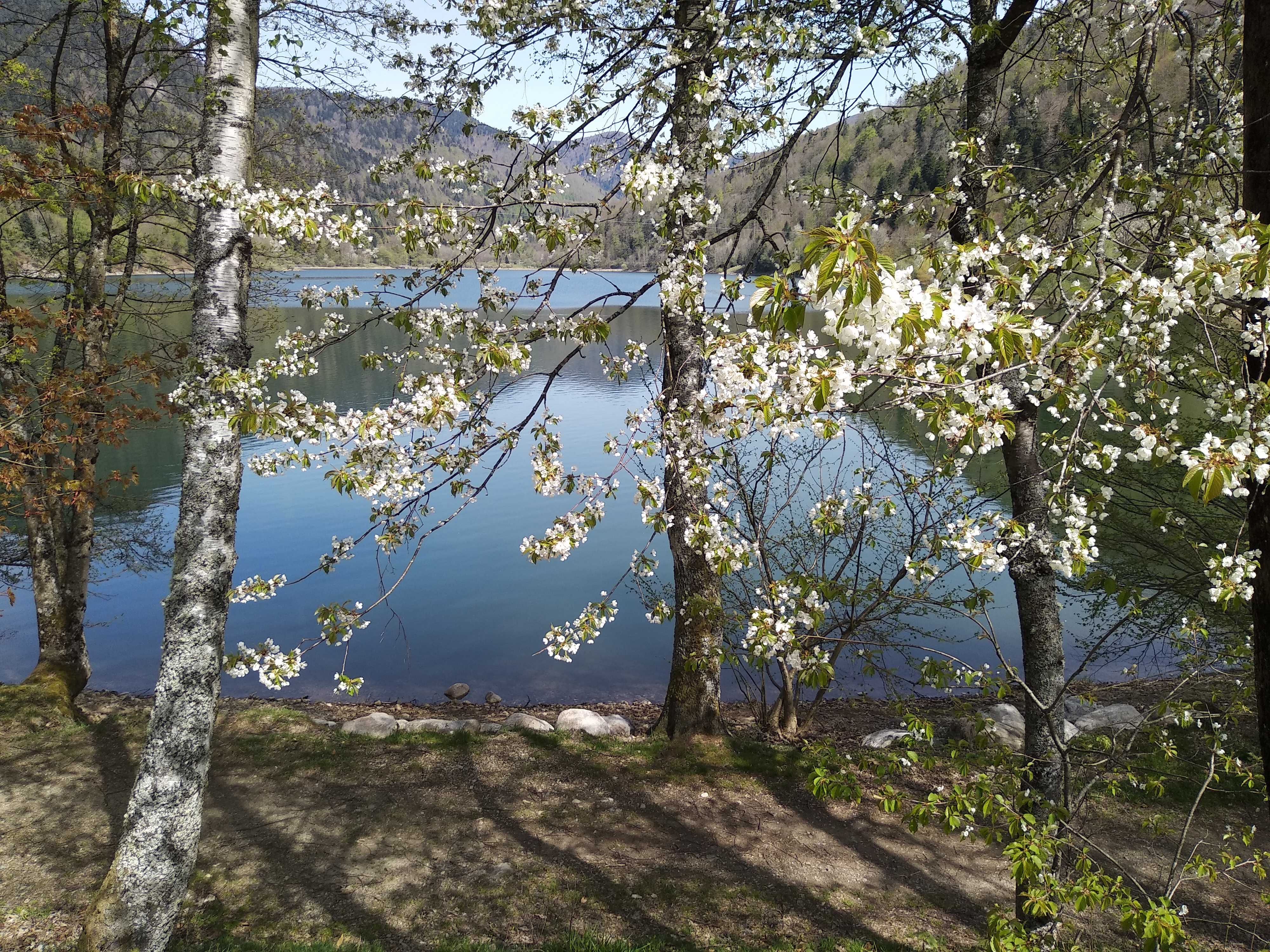 Photo n° 4 de l'avis de STENGEL.h fait le 22/04/2019 à 15:06