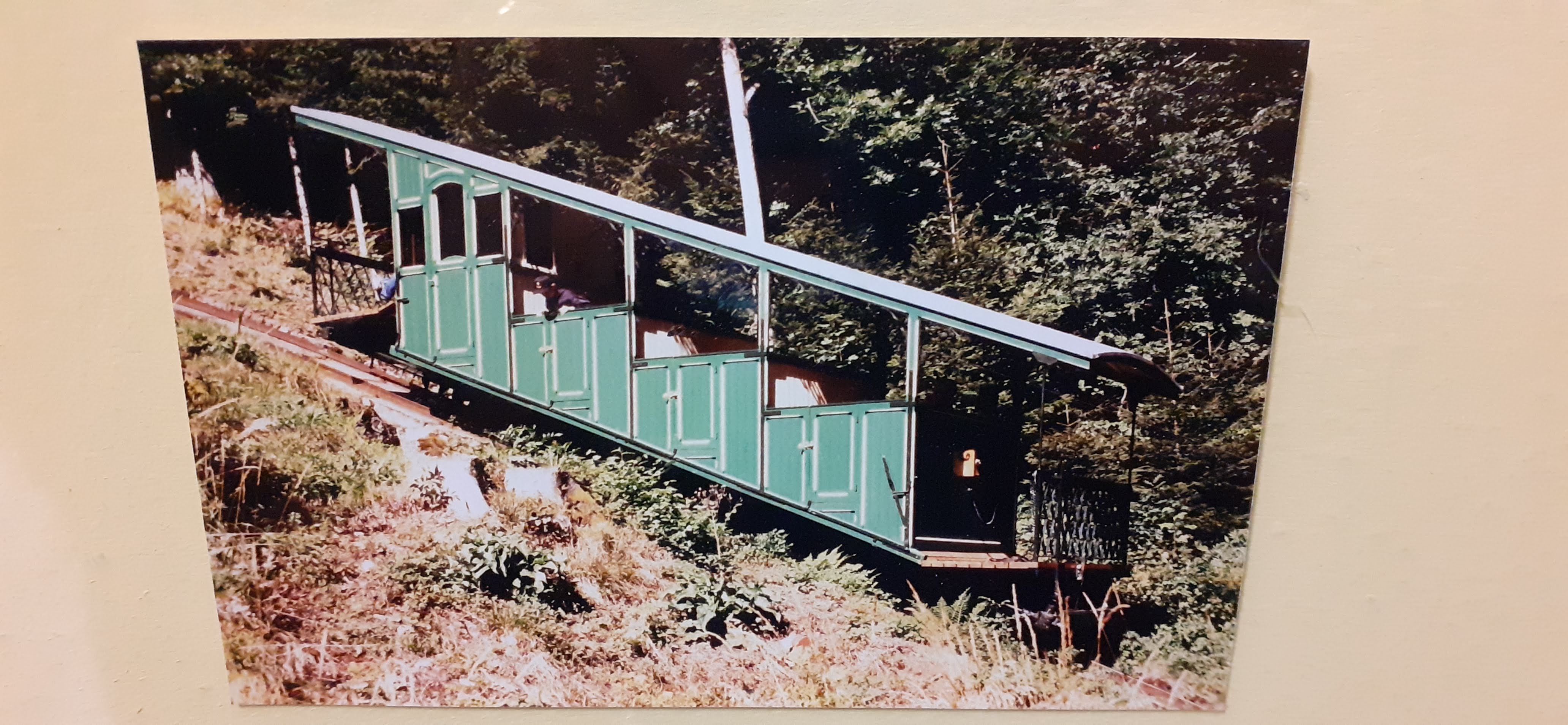Photo n° 32 de l'avis de Mick53.i fait le 28/08/2022 à 13:31