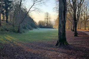 Ashcombe Park image