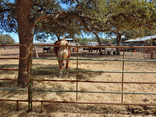 Pony Ride Service «The Farmyard», reviews and photos, 30250 Leroy Scheel Rd, Bulverde, TX 78163, USA