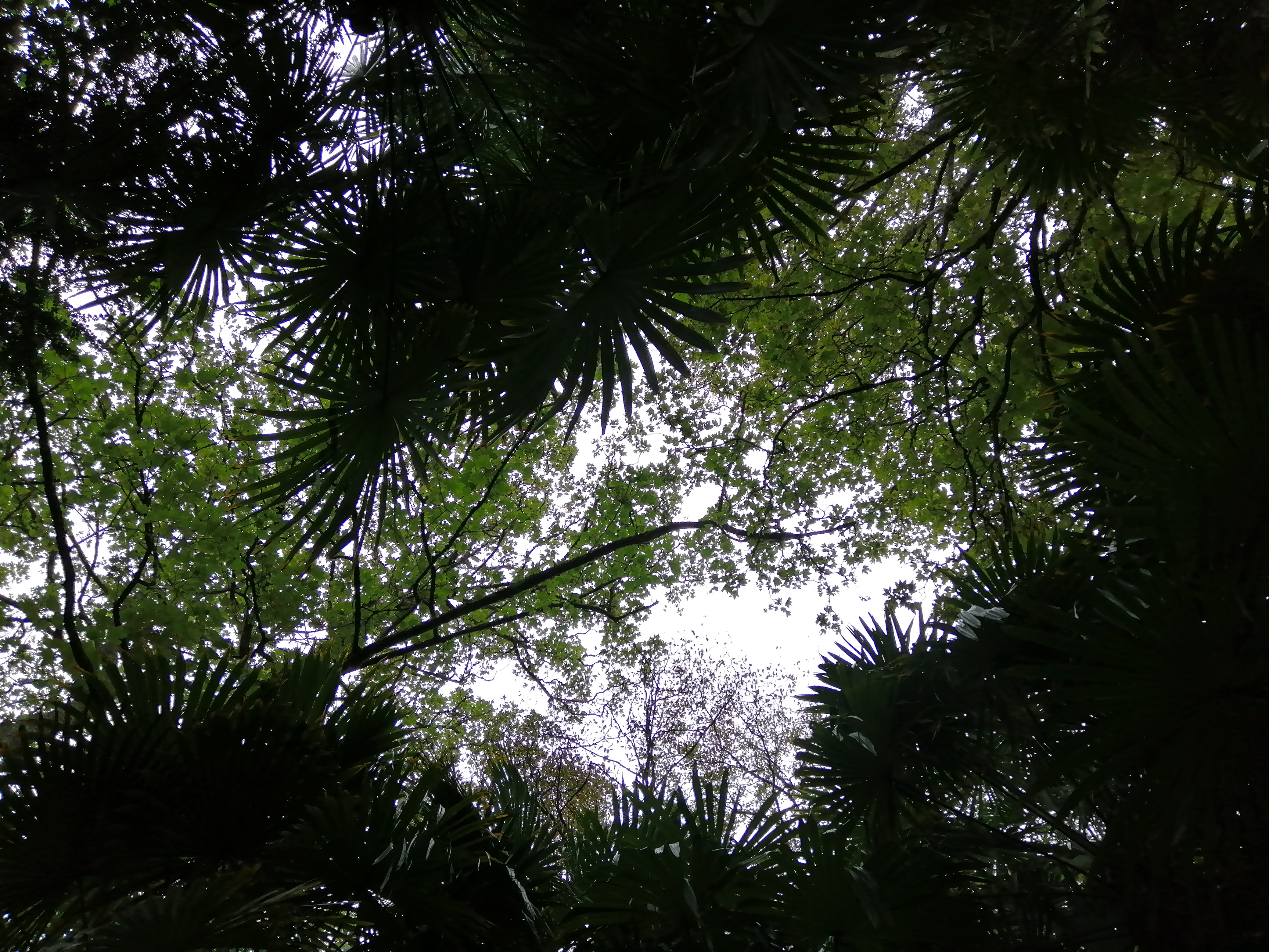 Photo n° 1 de l'avis de Charlotte.o fait le 18/09/2020 à 19:11