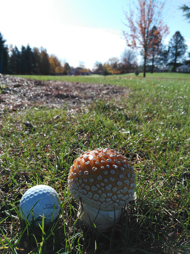 Golf Club «Claremont Golf Course», reviews and photos, 15800 NW Country Club Dr, Portland, OR 97229, USA