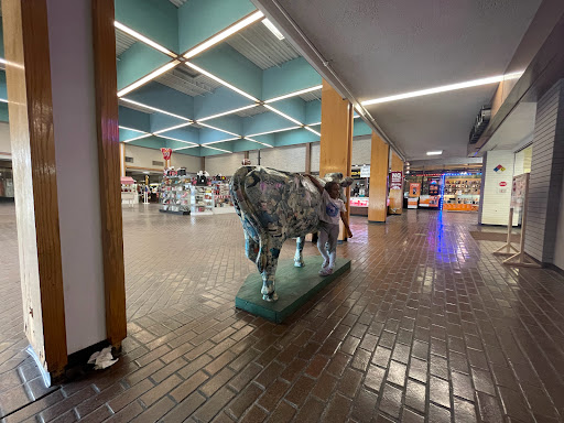 Shopping Mall «New Landing Mall», reviews and photos, Troost Ave & E Meyer Blvd, Kansas City, MO 64131, USA