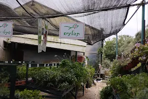 Galilee Plants Garden Center image