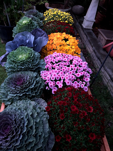 Florist «Ultima Florals», reviews and photos, 81-02 37th Ave, Jackson Heights, NY 11372, USA