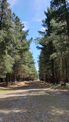 West Melton Forest, Horse Park