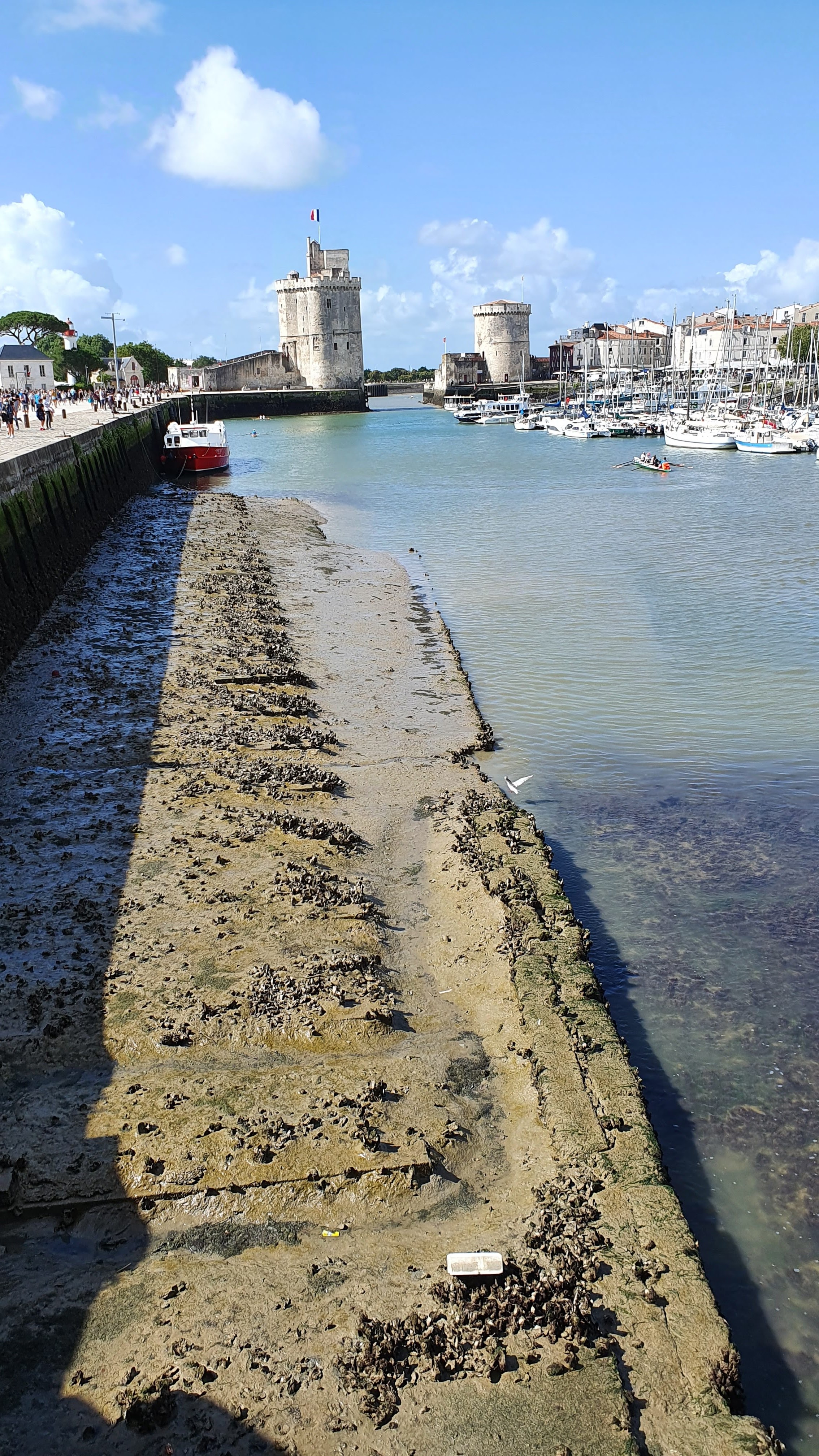 Photo n° 35 de l'avis de Denis.a fait le 09/08/2021 à 12:04