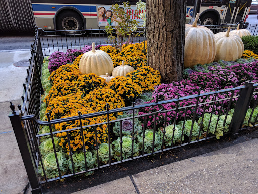 Computer Store «Apple North Michigan Avenue», reviews and photos, 679 N Michigan Ave, Chicago, IL 60611, USA