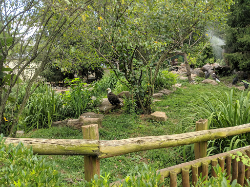 Recreation Center «Go Ape Zip Line & Treetop Adventure - Lums Pond State Park», reviews and photos, 1042 Howell School Rd, Bear, DE 19701, USA