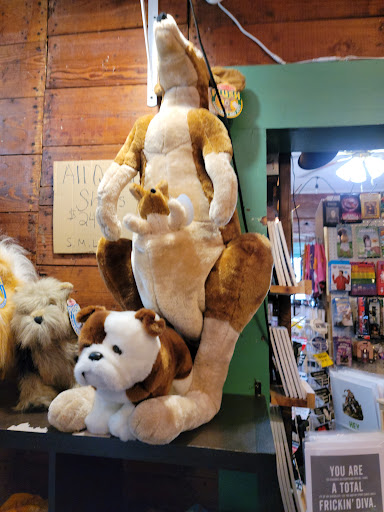 Toy Store «Got Toys», reviews and photos, 1714 Hunter Rd, New Braunfels, TX 78130, USA