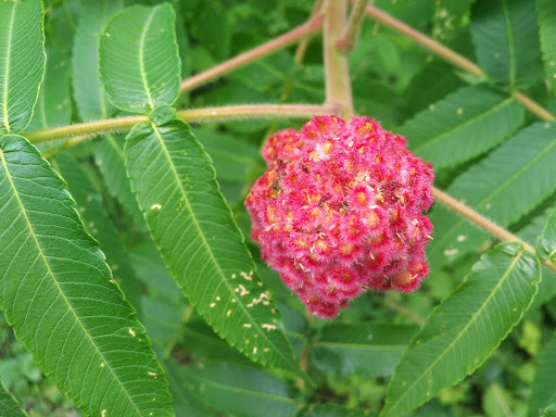 Park «Gorge Metro Park», reviews and photos, 1160 Front St, Cuyahoga Falls, OH 44223, USA