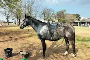 Rietvlei Zoo Farm image