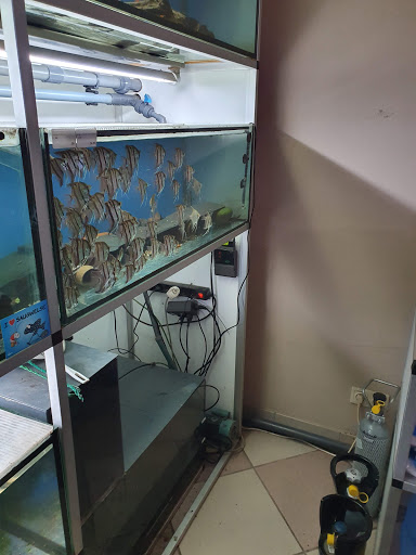AQUARIUM Der Welsladen unter Chemnitz, 