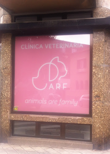 ARF Clínica Veterinária - Veterinário