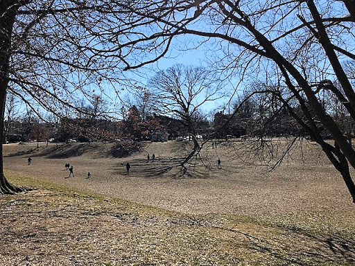 Park «Clark Park», reviews and photos, 4300-4398 Baltimore Ave, Philadelphia, PA 19104, USA