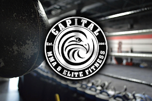 Capital MMA & Elite Fitness | Loudoun-Dulles, VA image